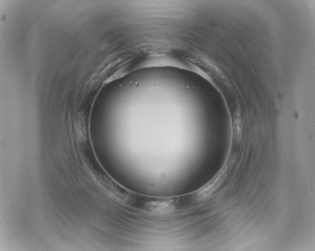 X0000070360170200606161301