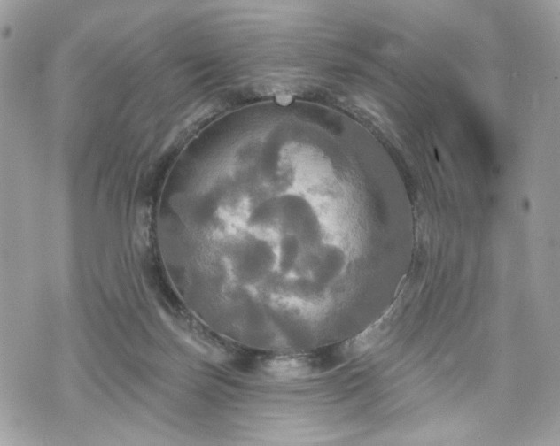 X0000070360171200606161301