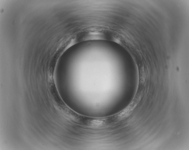 X0000070360176200606161301