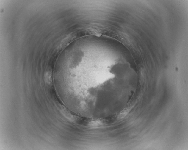 X0000070360177200606161301