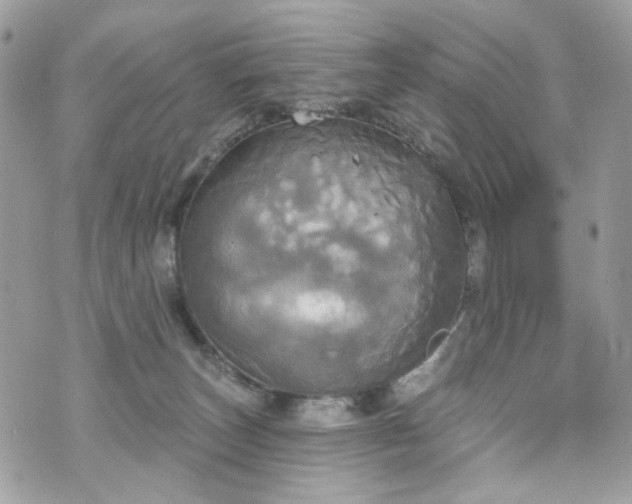 X0000070360179200606161301