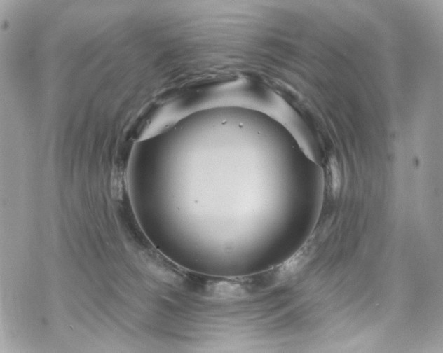 X0000070360180200606161301