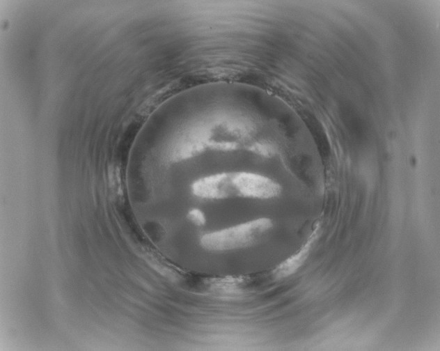 X0000070360182200606161301