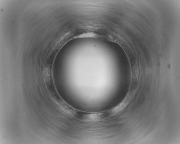 X0000070360184200606161301