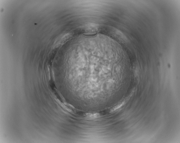 X0000070360185200606161301