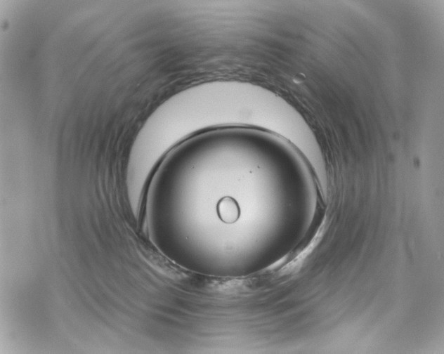 X0000070360186200606161301