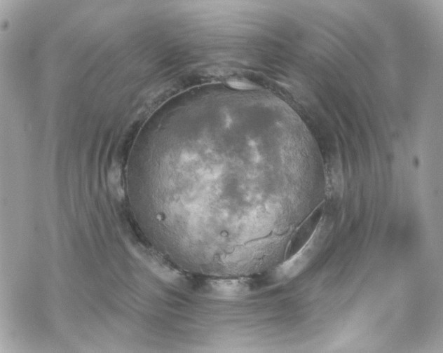 X0000070360187200606161301