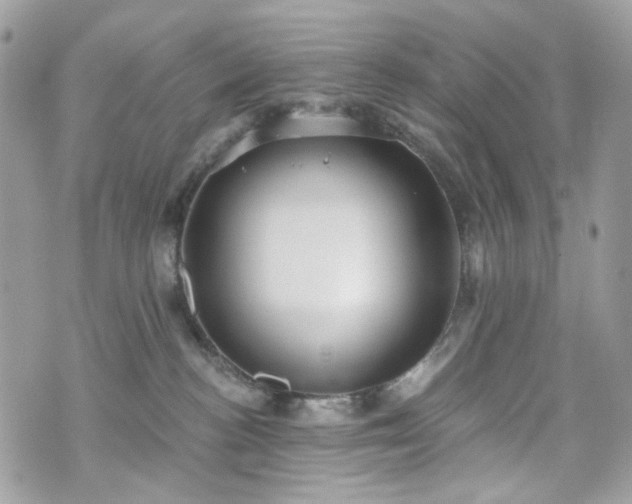 X0000070360188200606161301