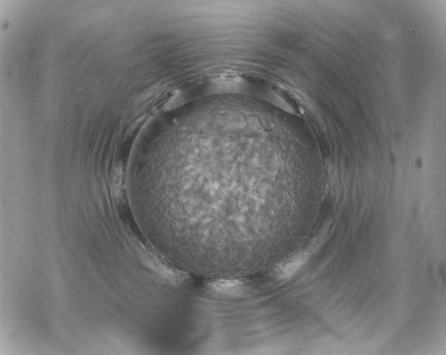 X0000070360189200606161301