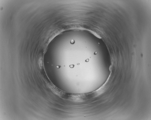 X0000070360190200606161301