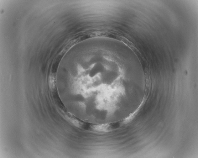 X0000070360191200606161301