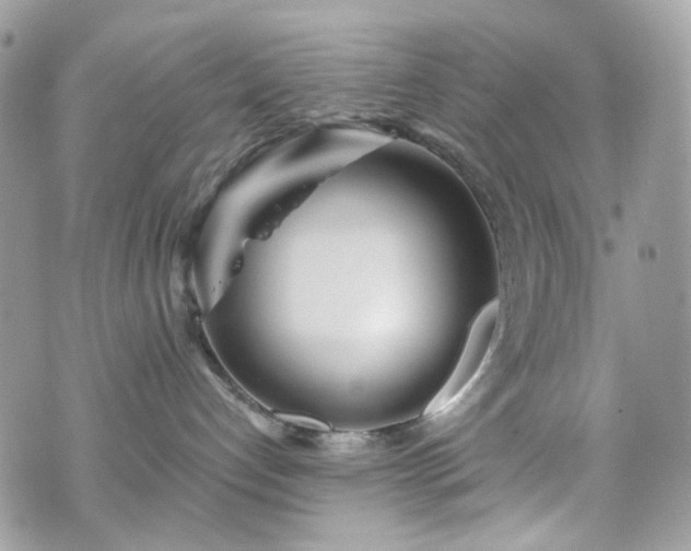 X0000070360192200606161301