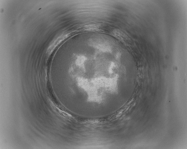 X0000070360194200606161300