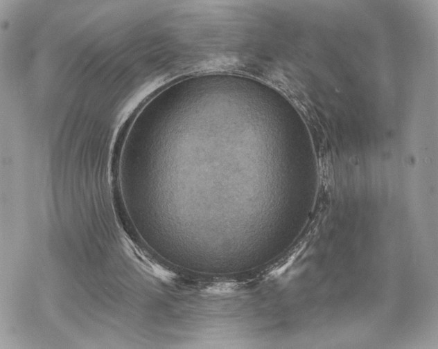 X0000070360196200606161300