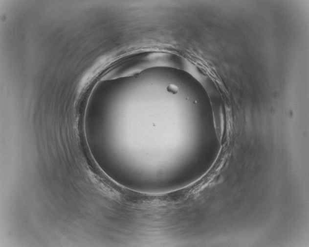 X0000070360197200606161300