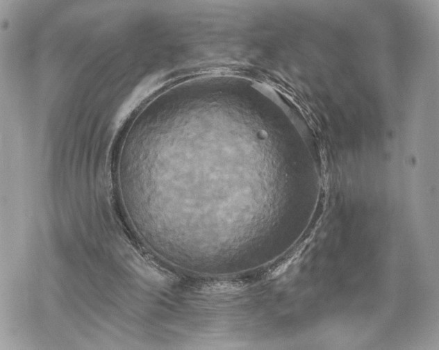 X0000070360198200606161300