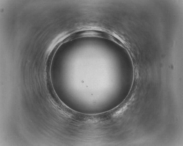 X0000070360199200606161300