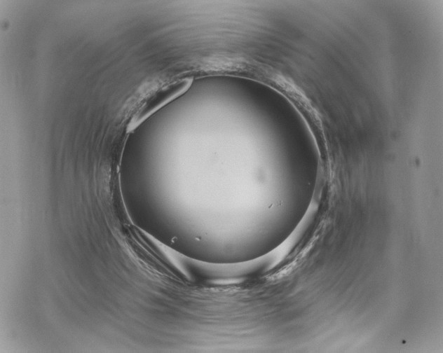 X0000070360201200606161300