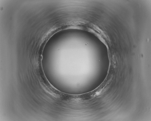 X0000070360203200606161300