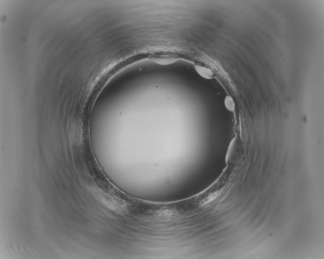 X0000070360204200606161300