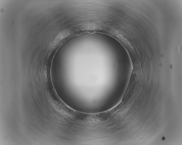 X0000070360207200606161300