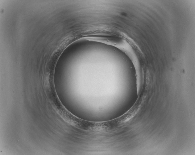 X0000070360209200606161300