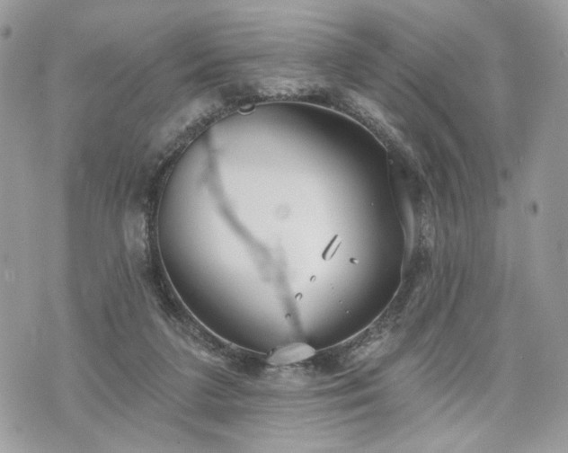 X0000070360211200606161300