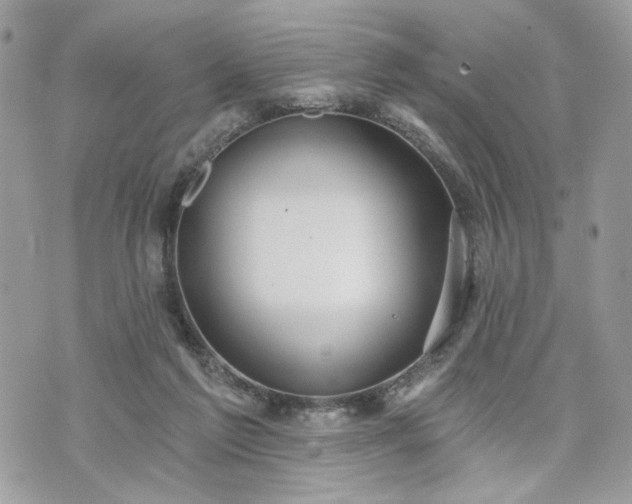 X0000070360213200606161300