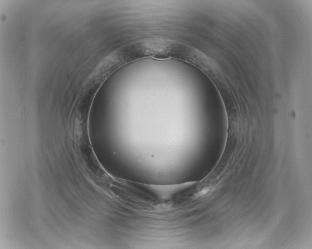 X0000070360215200606161300