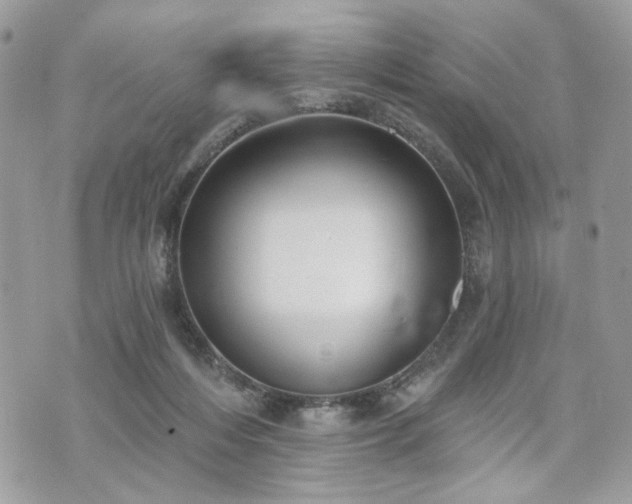 X0000070360216200606161300