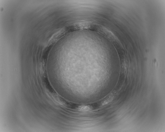 X0000070360218200606161300