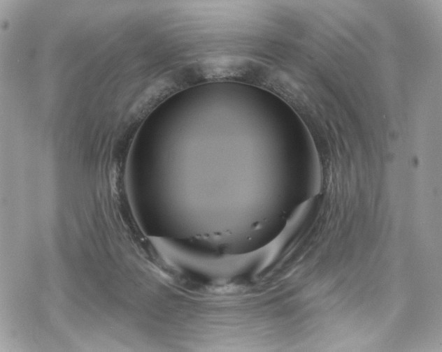 X0000070360219200606161300