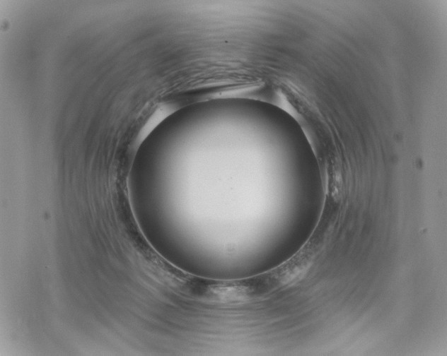 X0000070360221200606161300