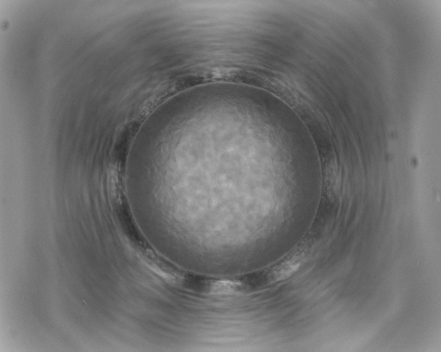 X0000070360222200606161300