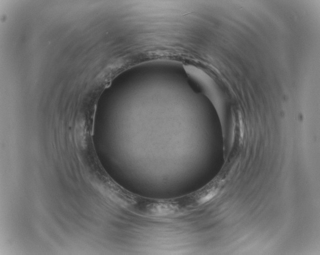 X0000070360223200606161300