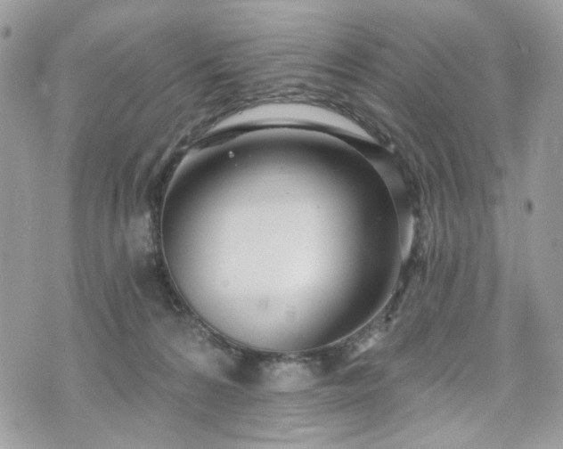 X0000070360224200606161300