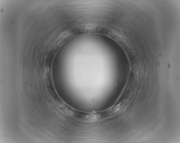 X0000070360225200606161300