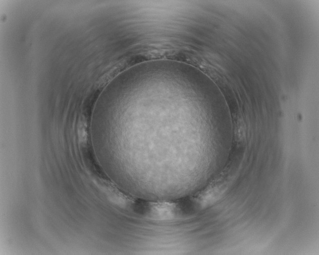 X0000070360226200606161300