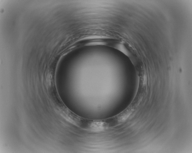 X0000070360227200606161300