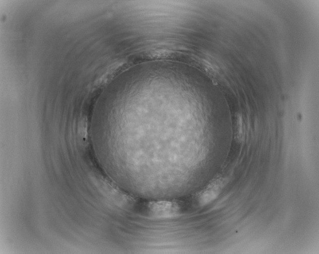 X0000070360230200606161300