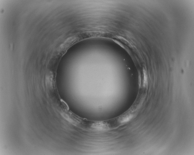 X0000070360231200606161300