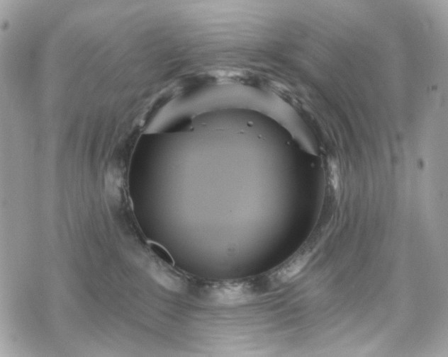 X0000070360235200606161300