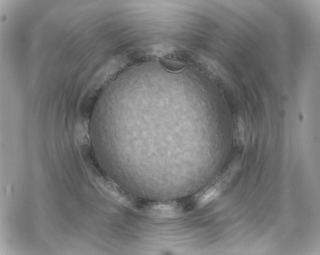 X0000070360236200606161300