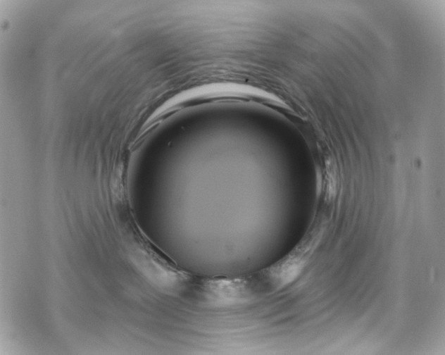 X0000070360239200606161259