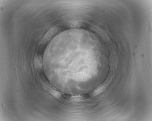 X0000070360240200606161259