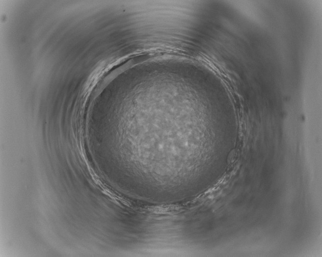 X0000070360241200606161259