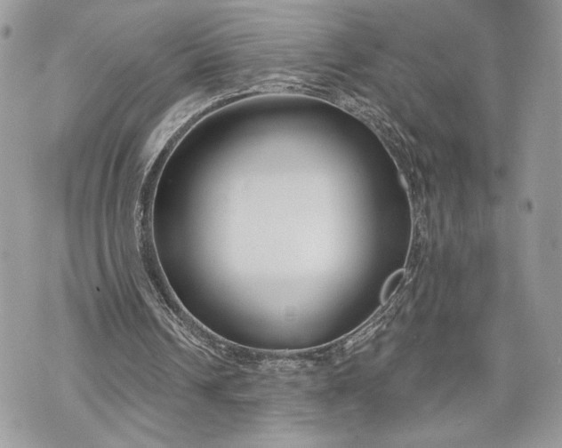 X0000070360242200606161259