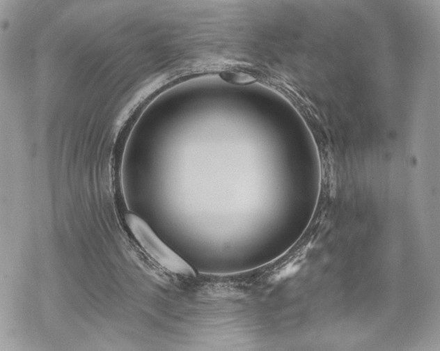 X0000070360244200606161259