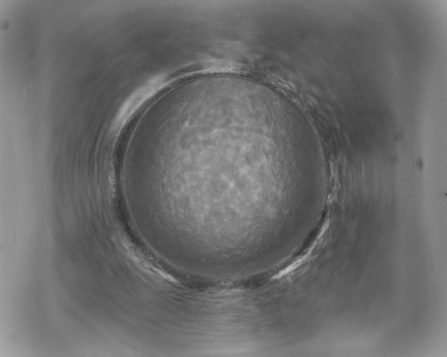 X0000070360247200606161259