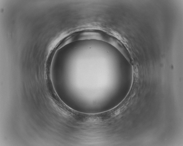 X0000070360248200606161259